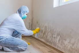 Best Emergency Mold Remediation  in Rio Vista, TX