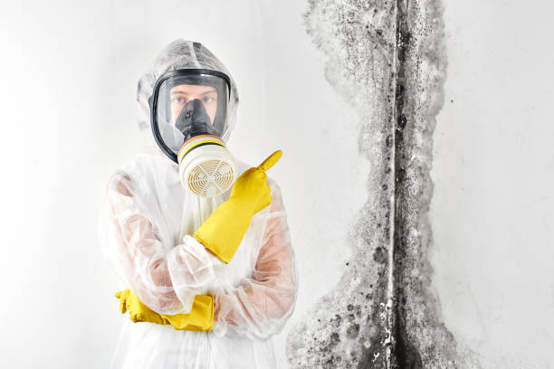 Best Commercial Mold Inspection  in Rio Vista, TX