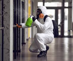 Best Mold Odor Removal Services  in Rio Vista, TX